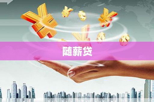 源汇随薪贷