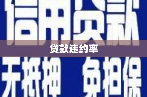 源汇贷款违约率