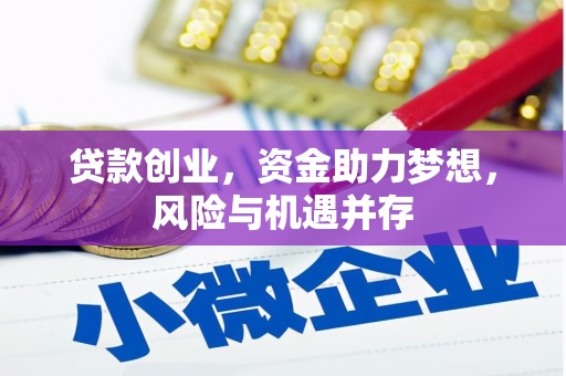 源汇贷款创业，资金助力梦想，风险与机遇并存