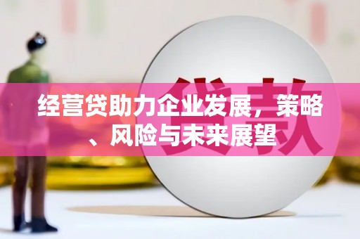 源汇经营贷助力企业发展，策略、风险与未来展望
