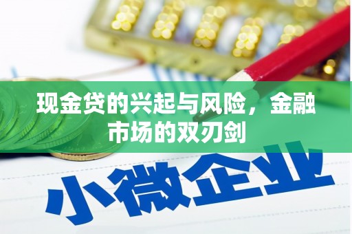 源汇现金贷的兴起与风险，金融市场的双刃剑