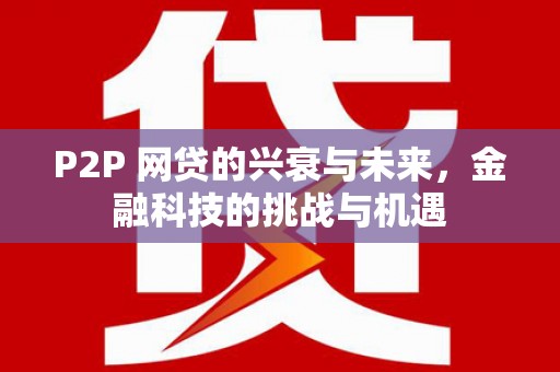 源汇P2P 网贷的兴衰与未来，金融科技的挑战与机遇