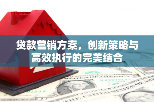 源汇贷款营销方案，创新策略与高效执行的完美结合