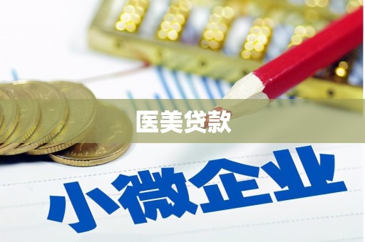 源汇医美贷款