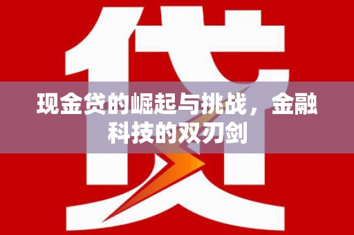 源汇现金贷的崛起与挑战，金融科技的双刃剑