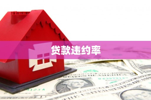 源汇贷款违约率