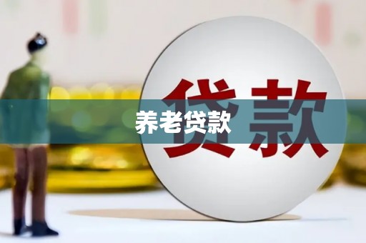 源汇养老贷款