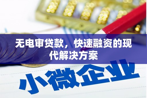 源汇无电审贷款，快速融资的现代解决方案