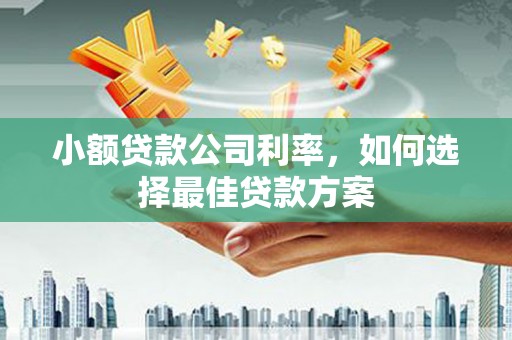 源汇小额贷款公司利率，如何选择最佳贷款方案