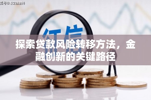 源汇探索贷款风险转移方法，金融创新的关键路径