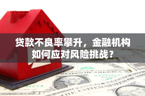 源汇贷款不良率攀升，金融机构如何应对风险挑战？