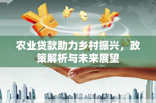 源汇农业贷款助力乡村振兴，政策解析与未来展望
