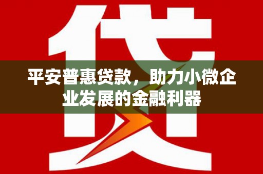 源汇平安普惠贷款，助力小微企业发展的金融利器