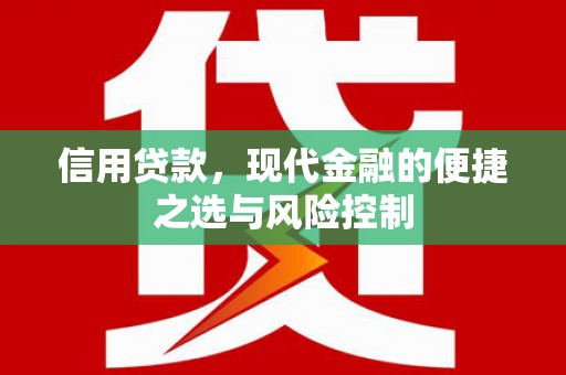源汇信用贷款，现代金融的便捷之选与风险控制
