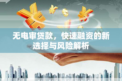 源汇无电审贷款，快速融资的新选择与风险解析