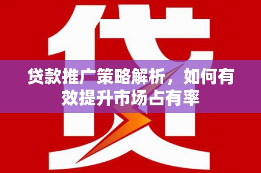 源汇贷款推广策略解析，如何有效提升市场占有率