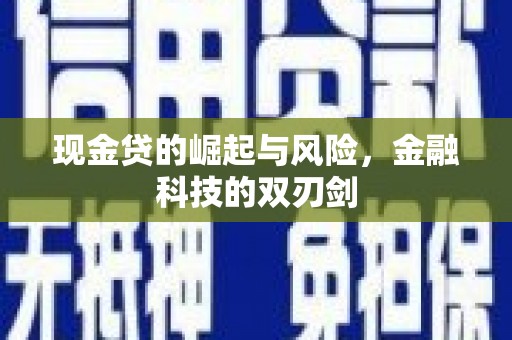 源汇现金贷的崛起与风险，金融科技的双刃剑
