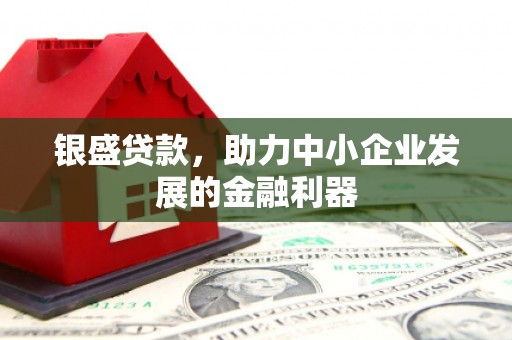 源汇银盛贷款，助力中小企业发展的金融利器