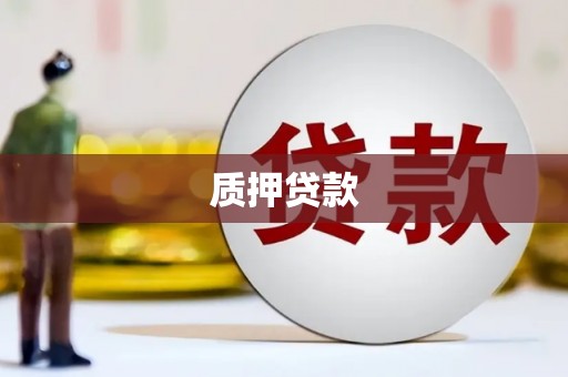 源汇质押贷款