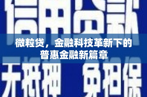 源汇微粒贷，金融科技革新下的普惠金融新篇章