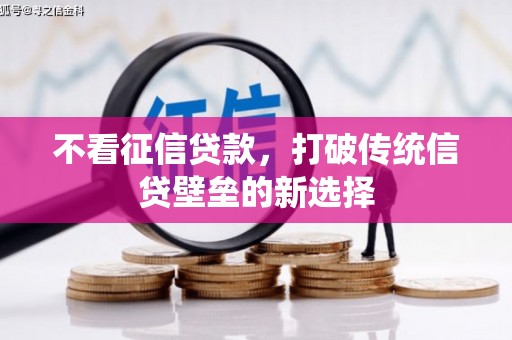 源汇不看征信贷款，打破传统信贷壁垒的新选择