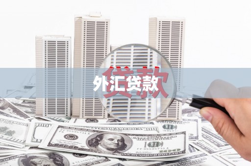 源汇外汇贷款