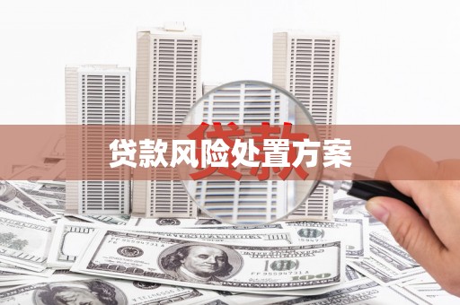 源汇贷款风险处置方案