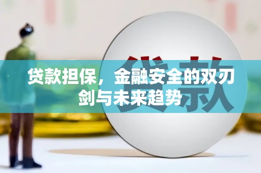 源汇贷款担保，金融安全的双刃剑与未来趋势