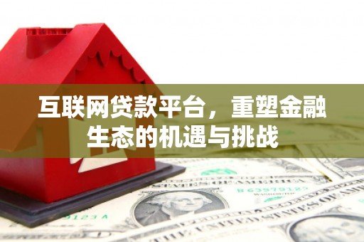 源汇互联网贷款平台，重塑金融生态的机遇与挑战