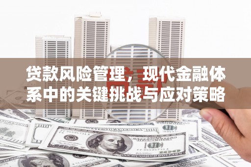 源汇贷款风险管理，现代金融体系中的关键挑战与应对策略