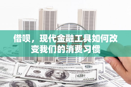 源汇借呗，现代金融工具如何改变我们的消费习惯