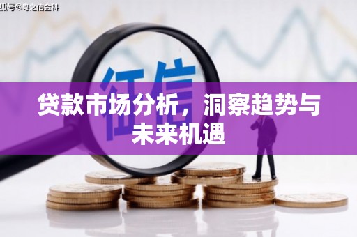 源汇贷款市场分析，洞察趋势与未来机遇