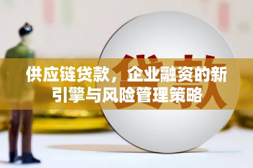 源汇供应链贷款，企业融资的新引擎与风险管理策略