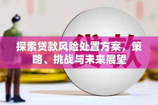 源汇探索贷款风险处置方案，策略、挑战与未来展望