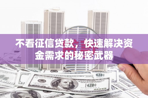 源汇不看征信贷款，快速解决资金需求的秘密武器