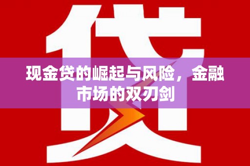 源汇现金贷的崛起与风险，金融市场的双刃剑