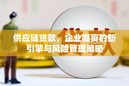 源汇供应链贷款，企业融资的新引擎与风险管理策略