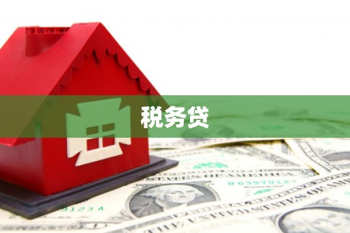 源汇税务贷