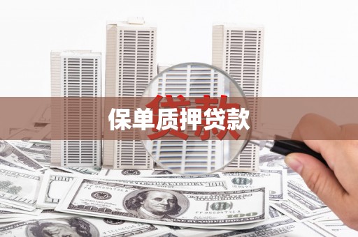 源汇保单质押贷款