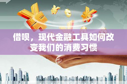 源汇借呗，现代金融工具如何改变我们的消费习惯