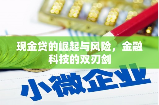 源汇现金贷的崛起与风险，金融科技的双刃剑