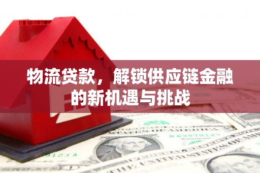 源汇物流贷款，解锁供应链金融的新机遇与挑战