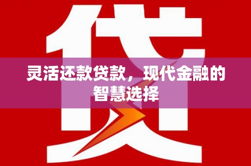 源汇灵活还款贷款，现代金融的智慧选择
