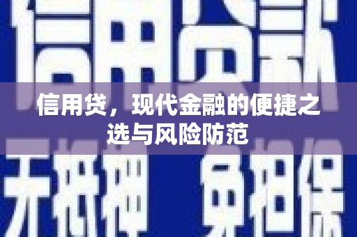 源汇信用贷，现代金融的便捷之选与风险防范