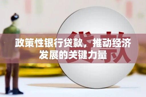 源汇政策性银行贷款，推动经济发展的关键力量