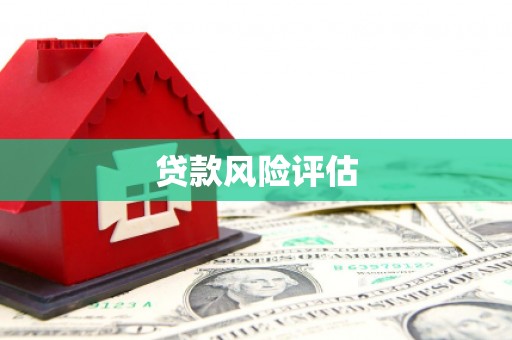 源汇贷款风险评估