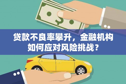 源汇贷款不良率攀升，金融机构如何应对风险挑战？