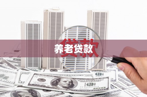源汇养老贷款
