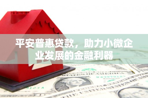 源汇平安普惠贷款，助力小微企业发展的金融利器
