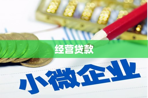 源汇经营贷款
